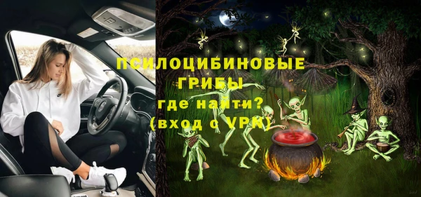ALPHA-PVP Алексеевка