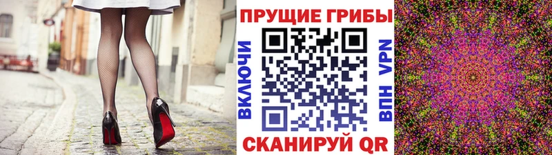 Галлюциногенные грибы Magic Shrooms  кракен рабочий сайт  Шебекино  где найти наркотики 