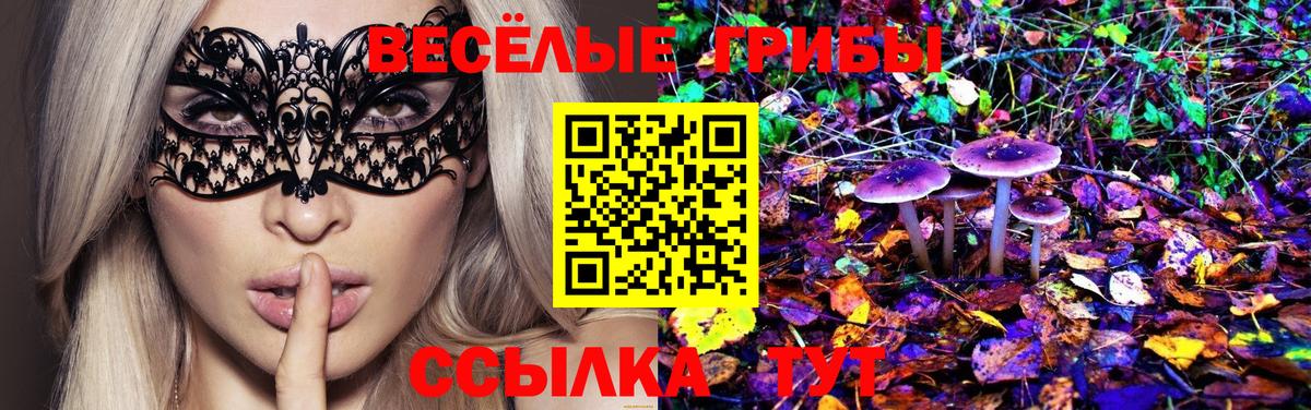 Псилоцибиновые грибы ЛСД Шебекино