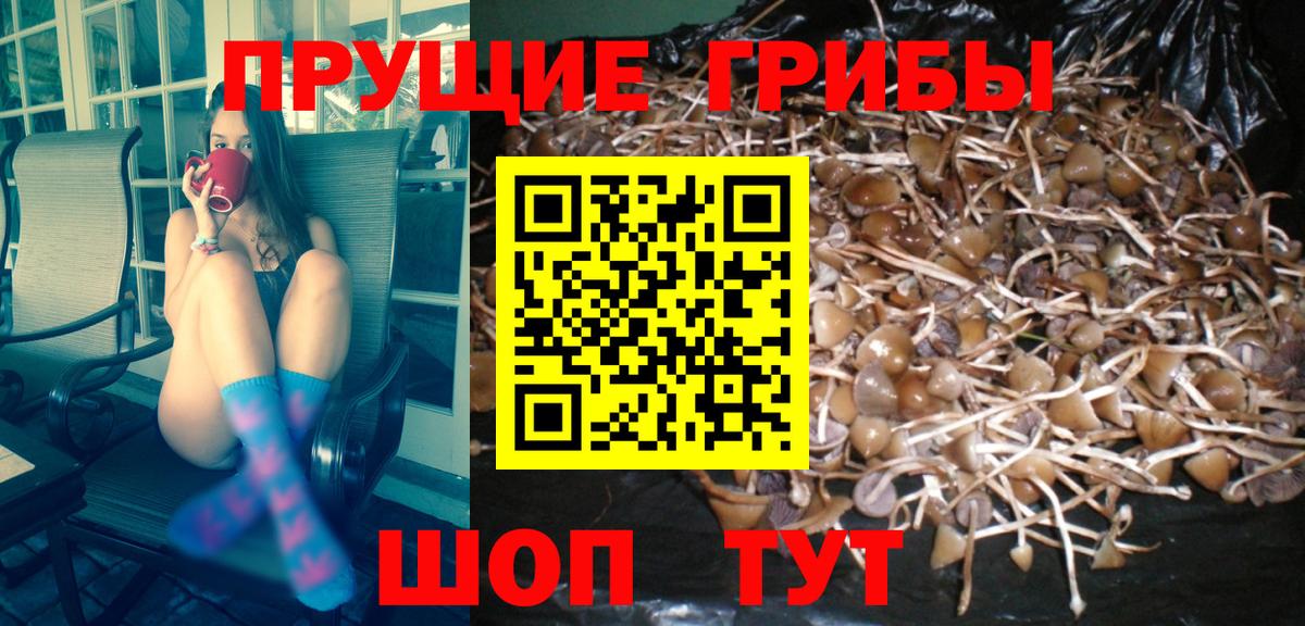 Галлюциногенные грибы GOLDEN TEACHER  Вход с VPN  Галлюциногенные грибы Magic Shrooms  Шебекино 